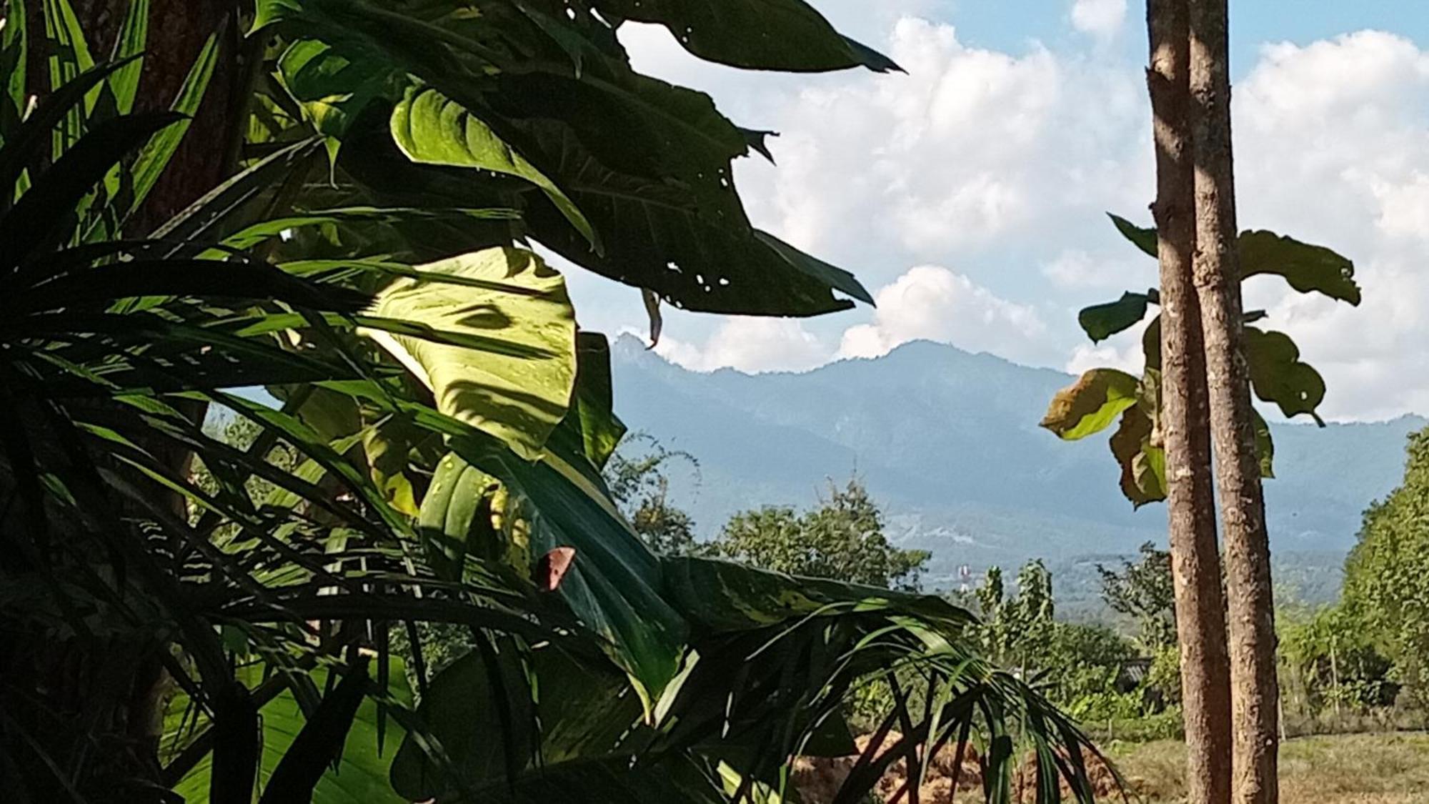 Chill In Pai Otel Oda fotoğraf